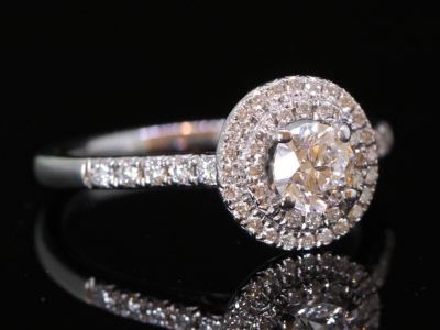 Celestial Round Center Diamond Double Halo Platinum Ring