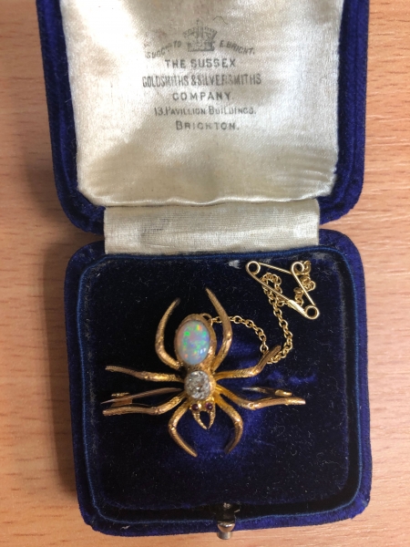 Beautiful edwardian 15 carat gold spider brooch set with ruby, diamond and opal 