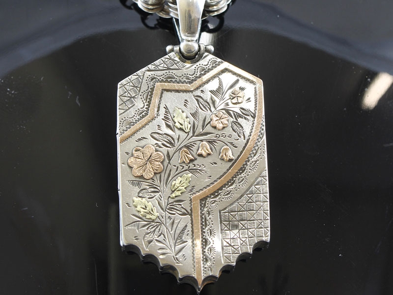  beautiful silver and gold locket and chain