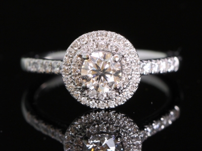 Celestial Round Center Diamond Double Halo Platinum Ring